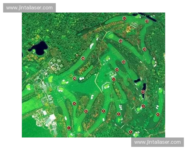 全球顶级赛事巡回赛全景解析:探索赛事背后的影响力与发展趋势