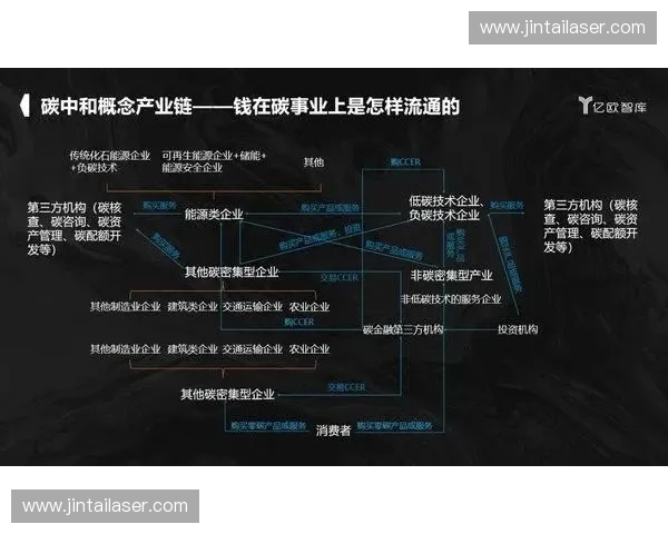 体育授权驱动产业升级与品牌价值释放新路径系统研究实践趋势发展