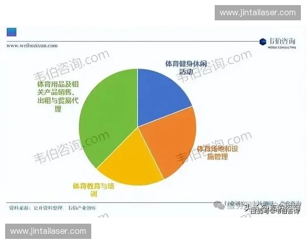 体育资本驱动下的竞技产业发展模式与商业价值研究 体育资本驱动下的竞技产业发展模式与商业价值研究